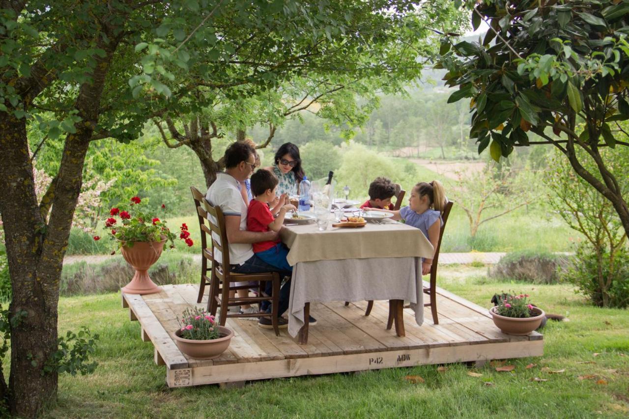 La Rosa Nel Bicchiere Guest House Soveria Mannelli Ngoại thất bức ảnh